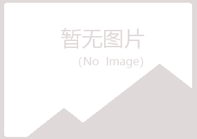 隆回县紫山化学有限公司